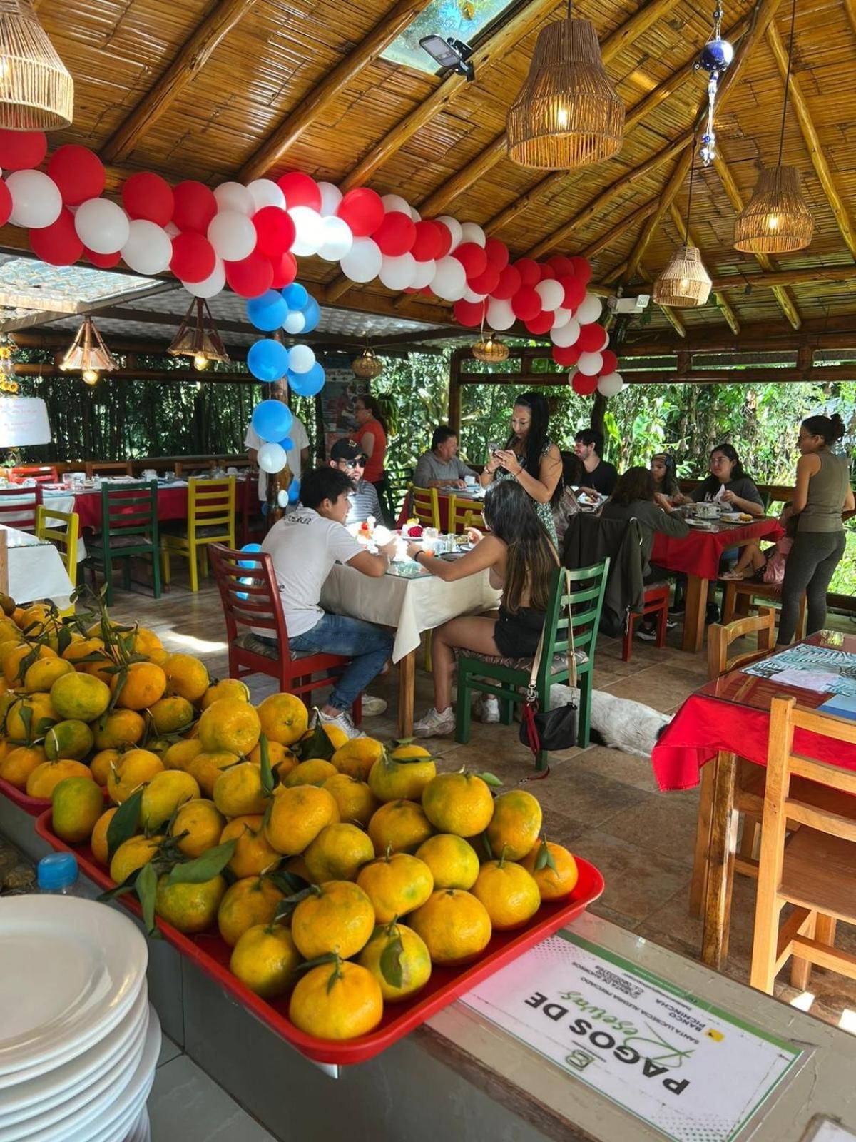 ホテル Cabanas Bambu ミンド エクステリア 写真